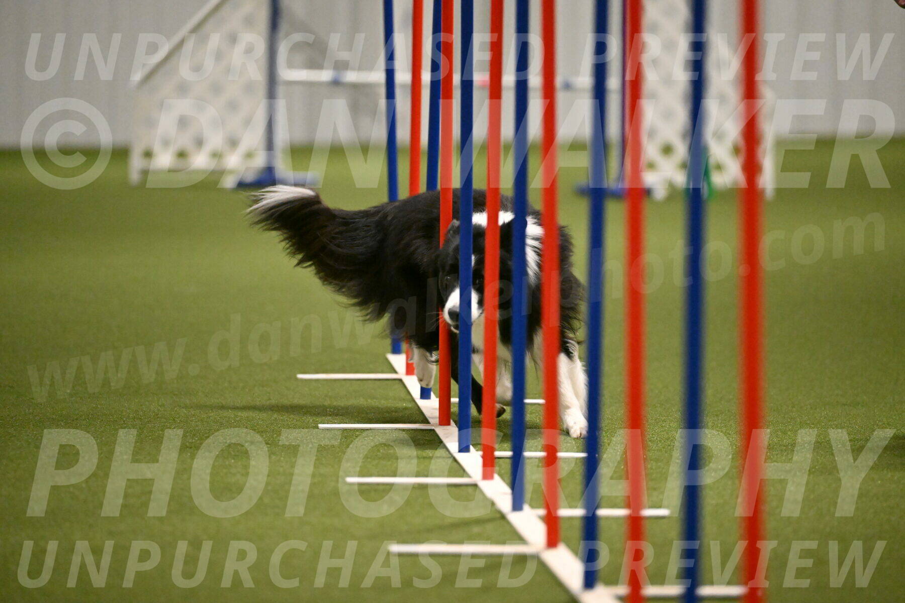 Cyrus-Kirra-Yanchilk-02321