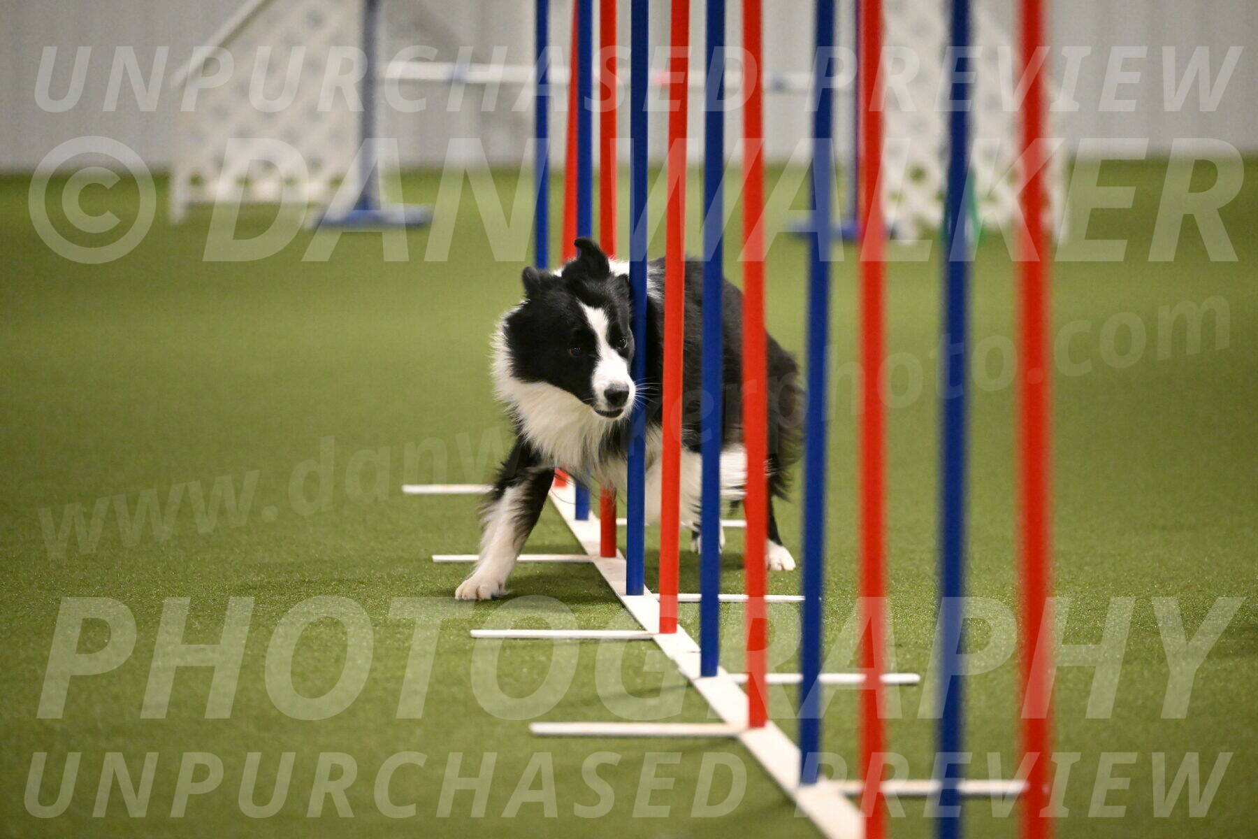 Cyrus-Kirra-Yanchilk-02322