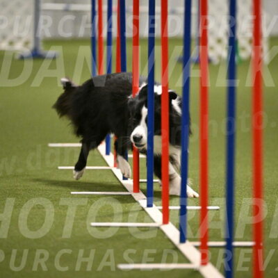 Cyrus-Kirra-Yanchilk-02323