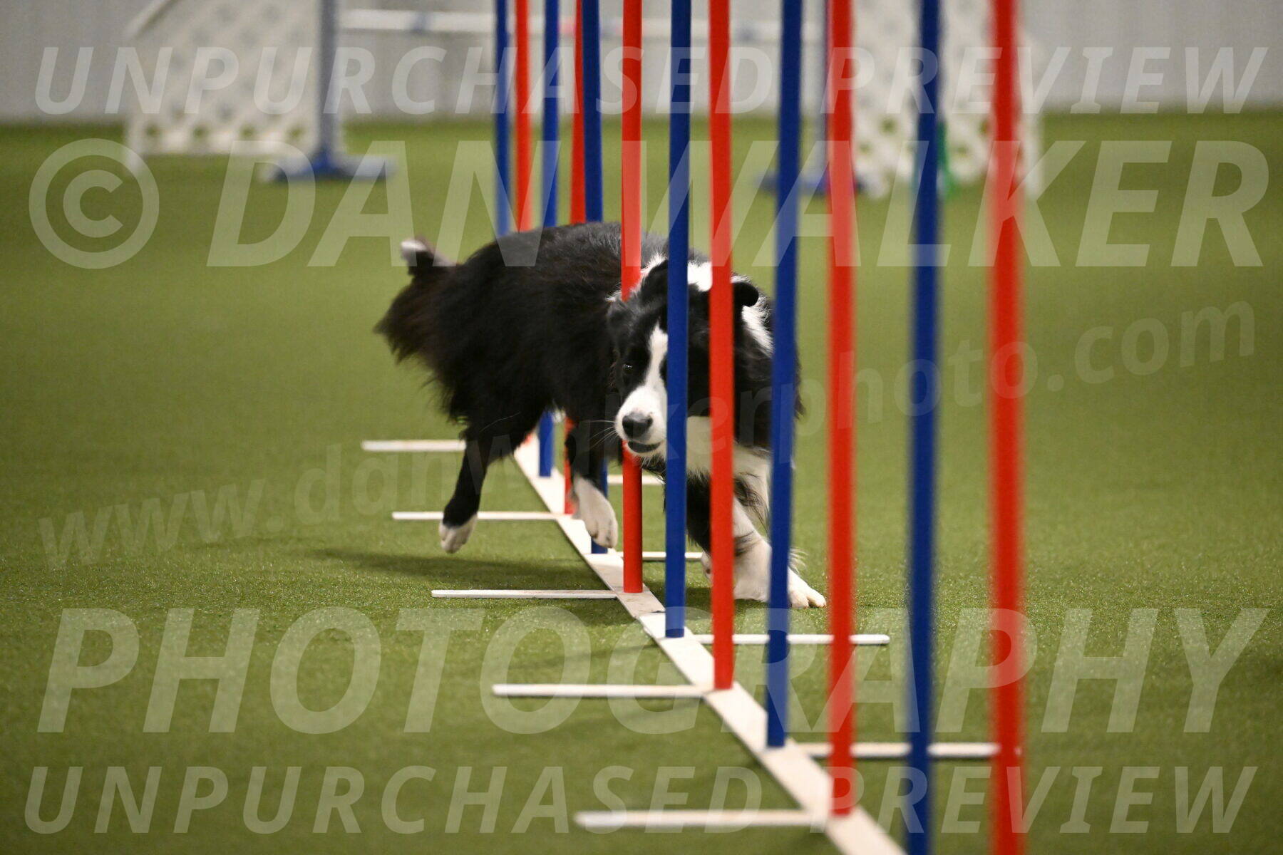 Cyrus-Kirra-Yanchilk-02323