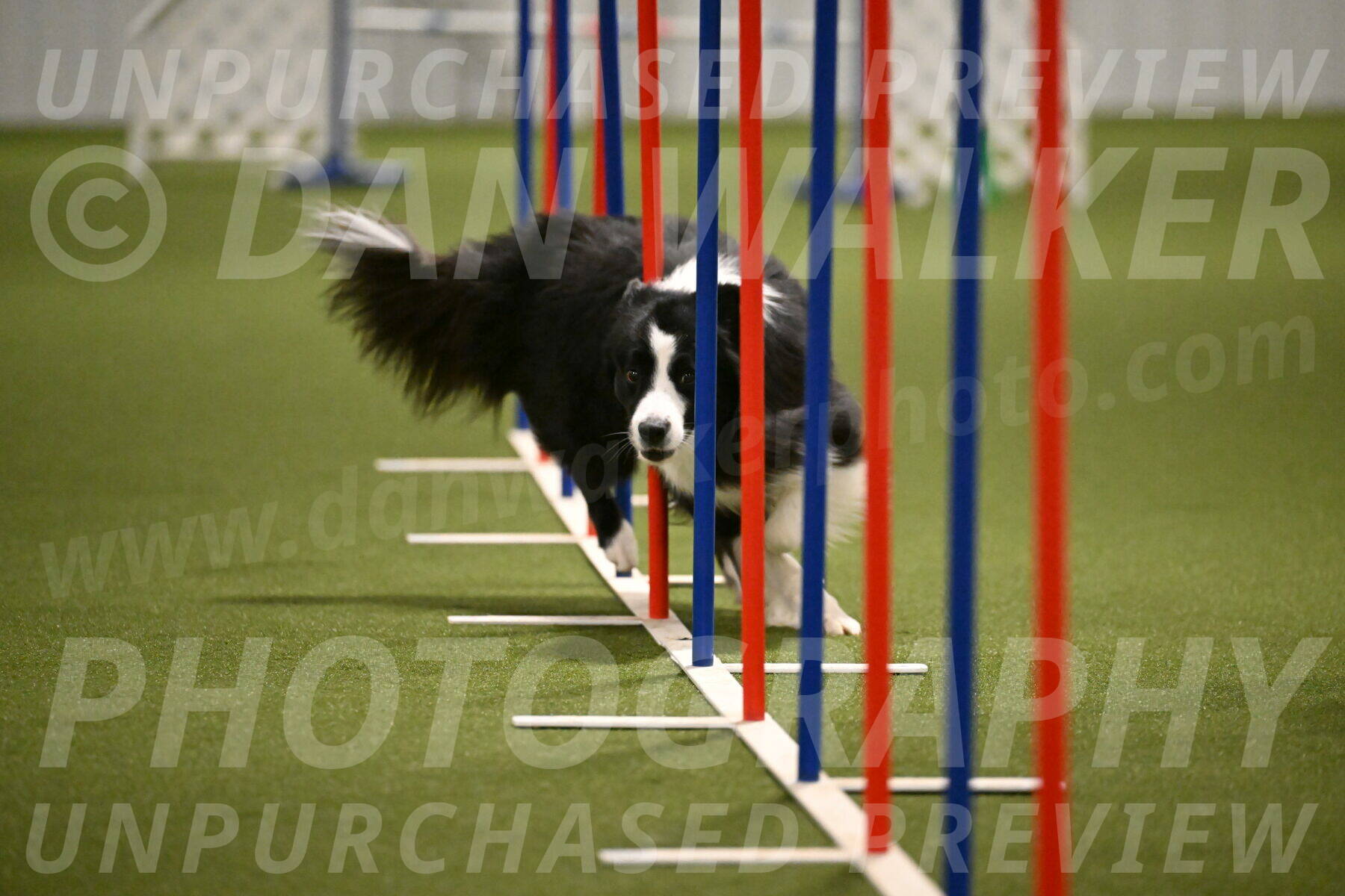 Cyrus-Kirra-Yanchilk-02324