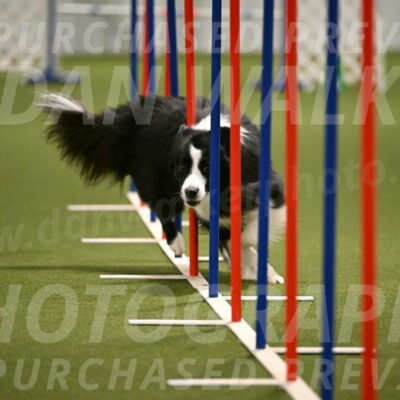 Cyrus-Kirra-Yanchilk-02324