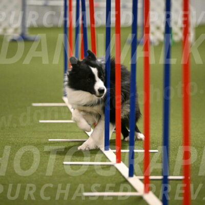 Cyrus-Kirra-Yanchilk-02325