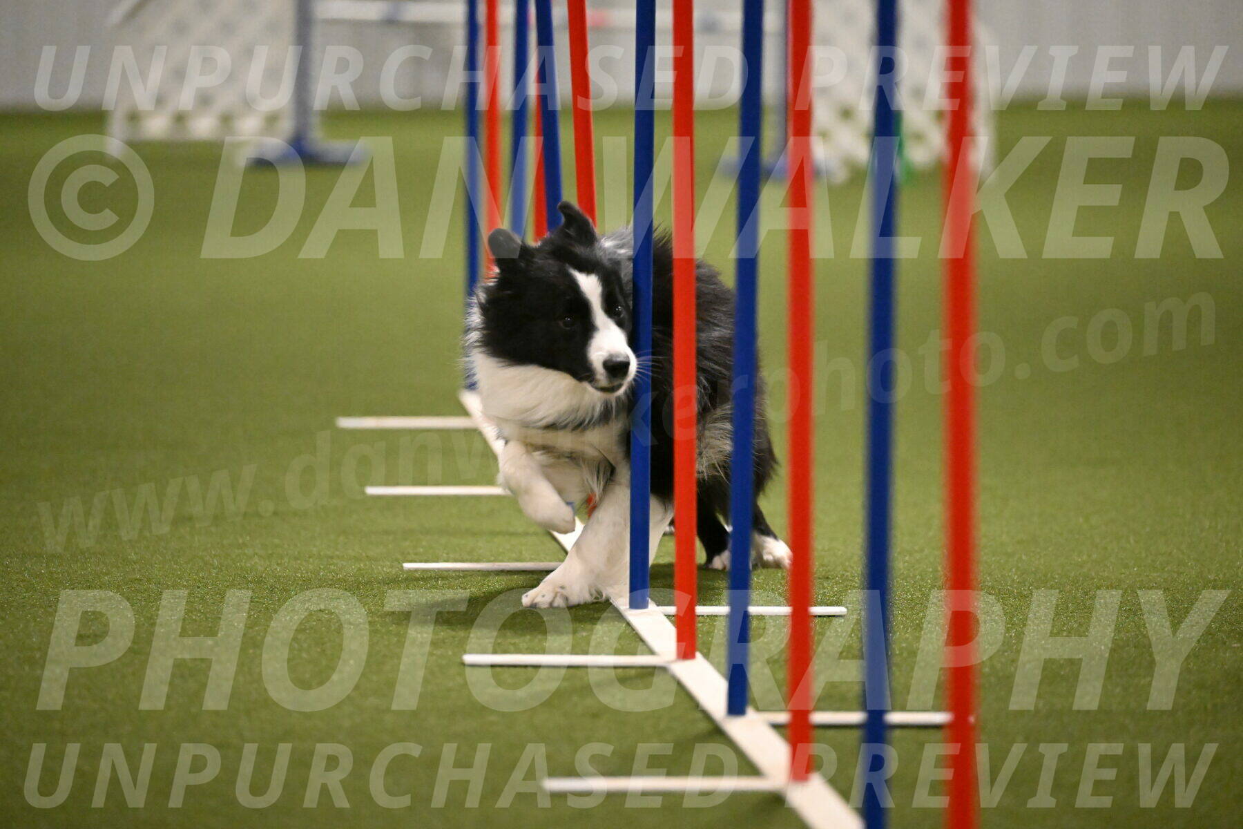 Cyrus-Kirra-Yanchilk-02325