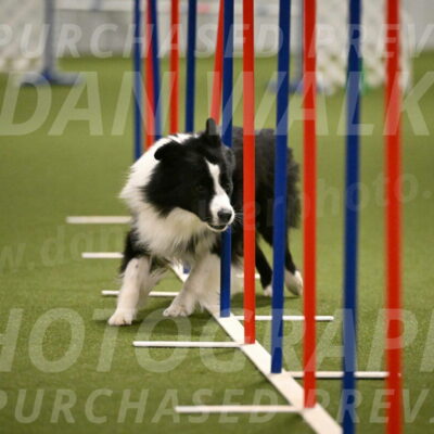 Cyrus-Kirra-Yanchilk-02326