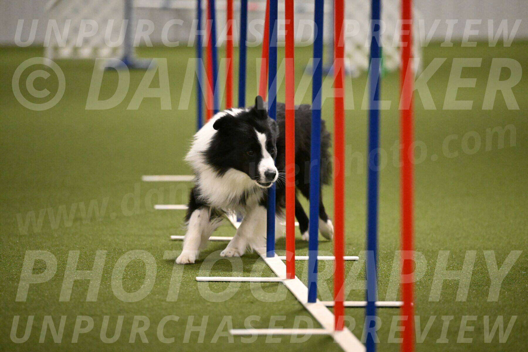 Cyrus-Kirra-Yanchilk-02326