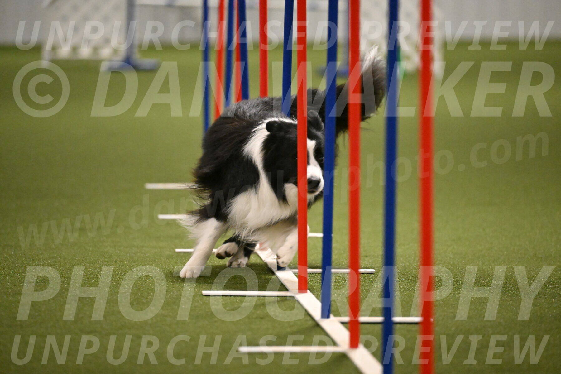 Cyrus-Kirra-Yanchilk-02327