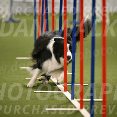 Cyrus-Kirra-Yanchilk-02327