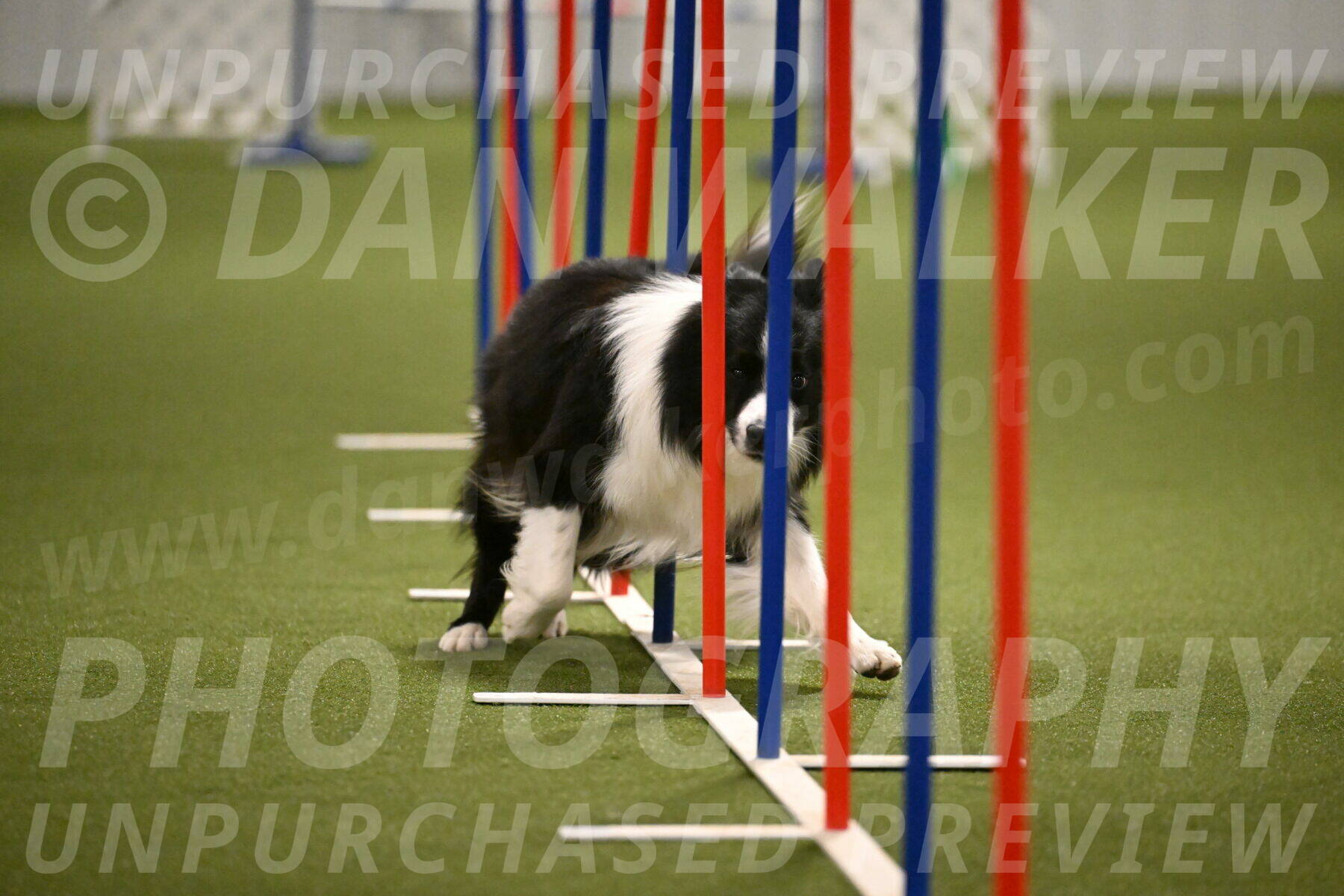 Cyrus-Kirra-Yanchilk-02328