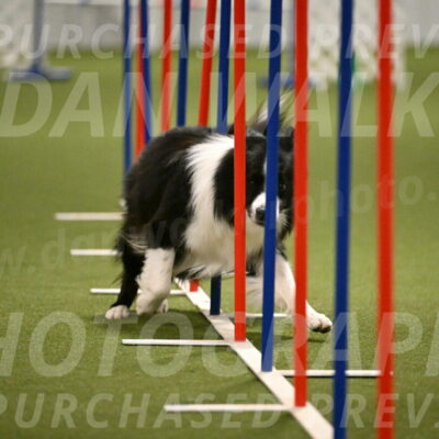 Cyrus-Kirra-Yanchilk-02328