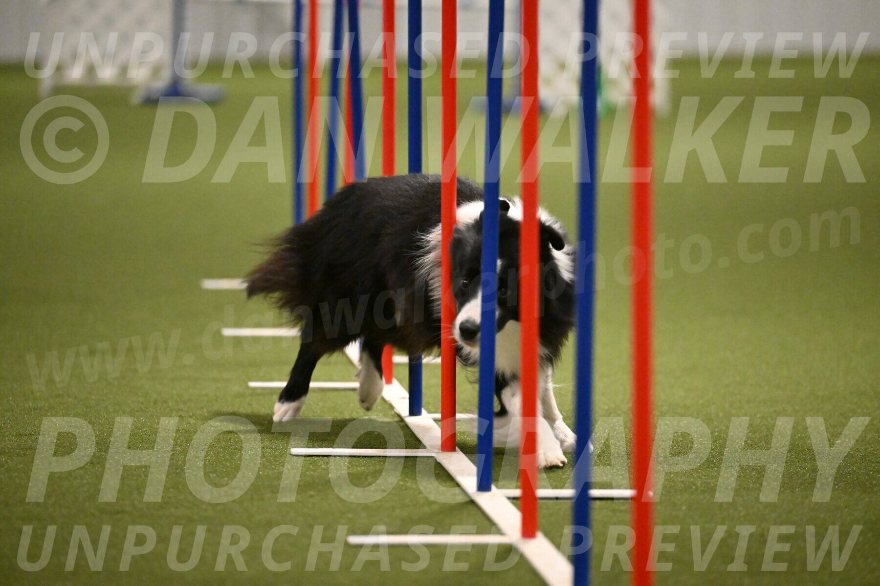 Cyrus-Kirra-Yanchilk-02329