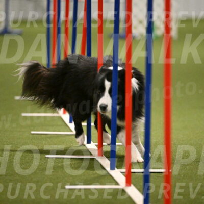 Cyrus-Kirra-Yanchilk-02330