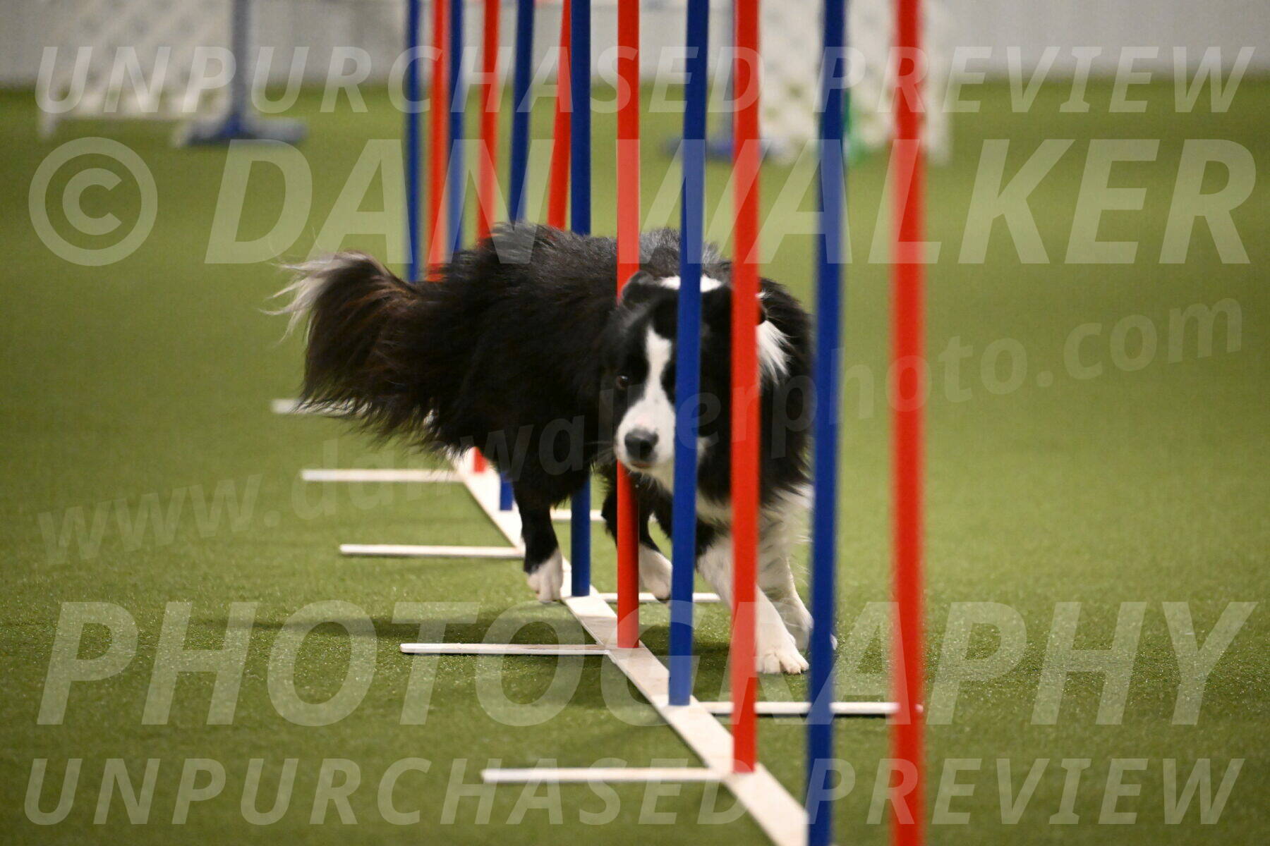 Cyrus-Kirra-Yanchilk-02330