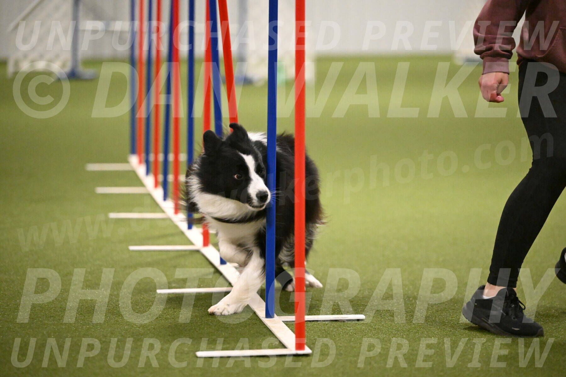 Cyrus-Kirra-Yanchilk-02331