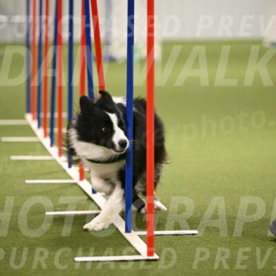 Cyrus-Kirra-Yanchilk-02331