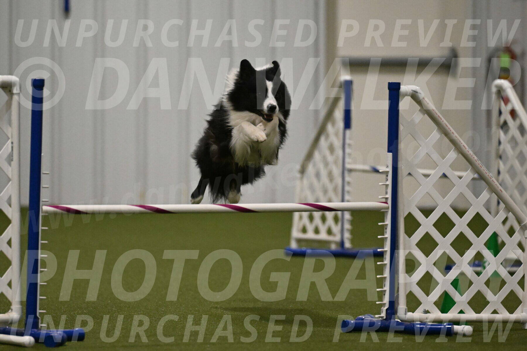 Cyrus-Kirra-Yanchilk-02332