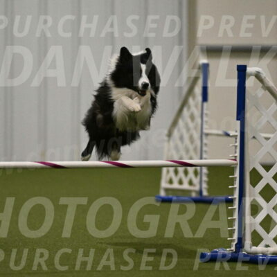 Cyrus-Kirra-Yanchilk-02332