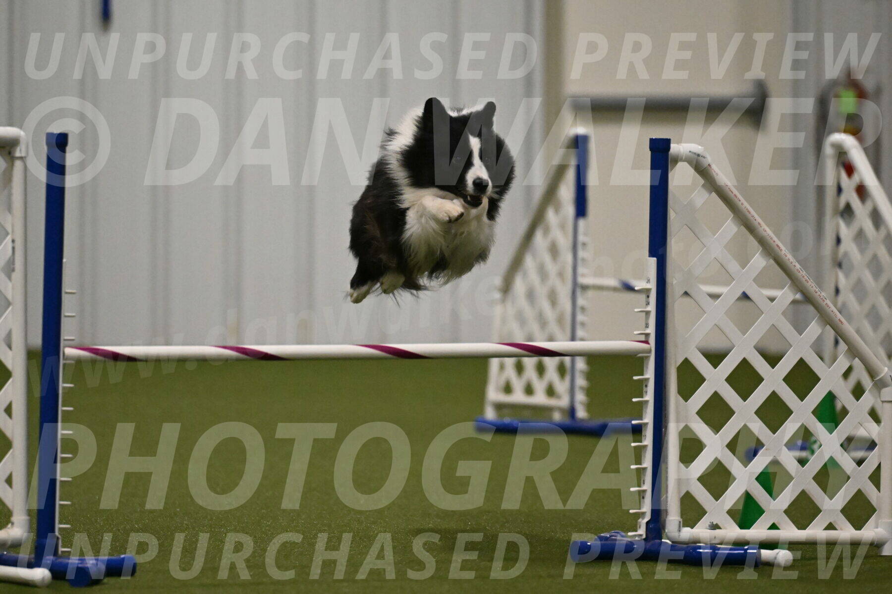 Cyrus-Kirra-Yanchilk-02333