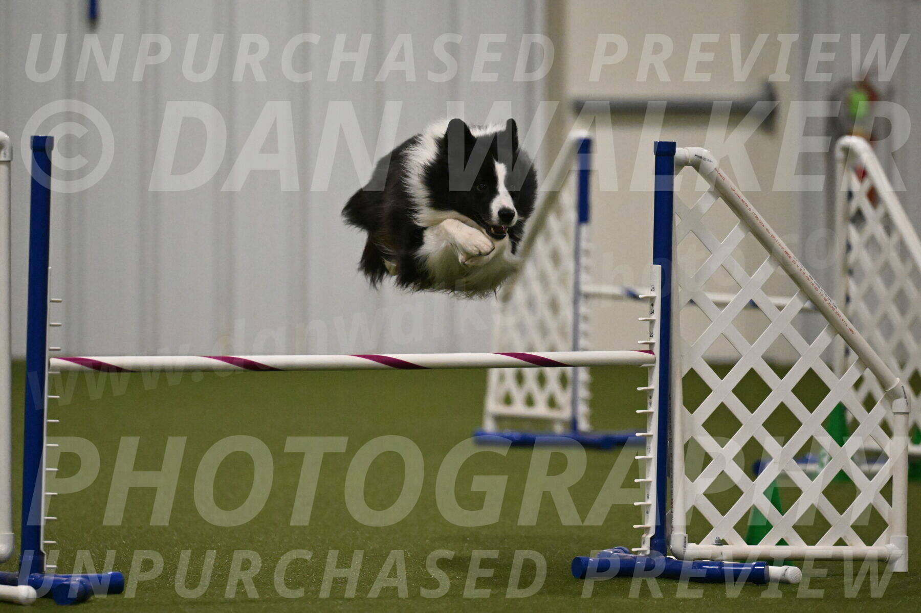 Cyrus-Kirra-Yanchilk-02334