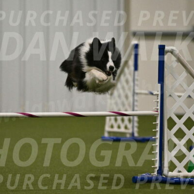 Cyrus-Kirra-Yanchilk-02334