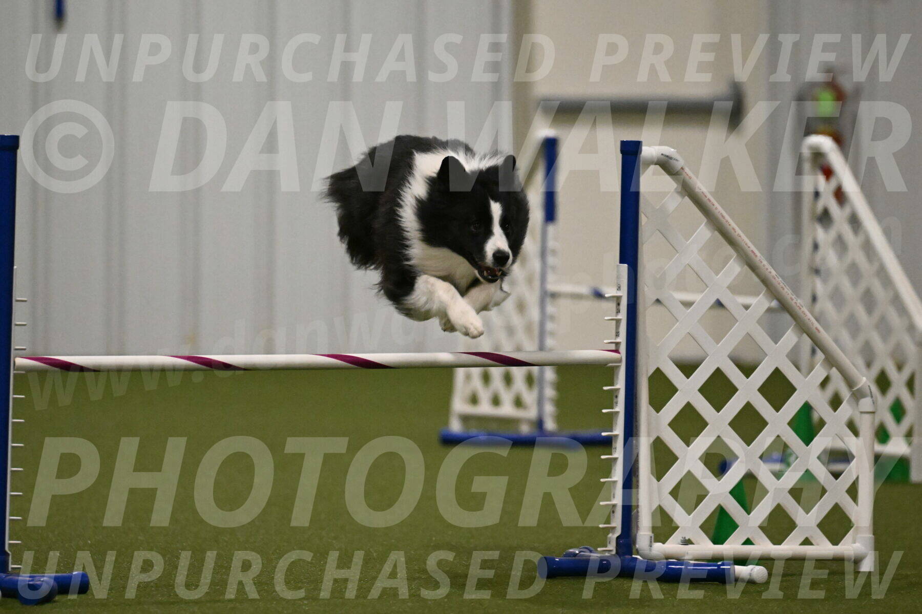 Cyrus-Kirra-Yanchilk-02335