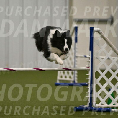 Cyrus-Kirra-Yanchilk-02335