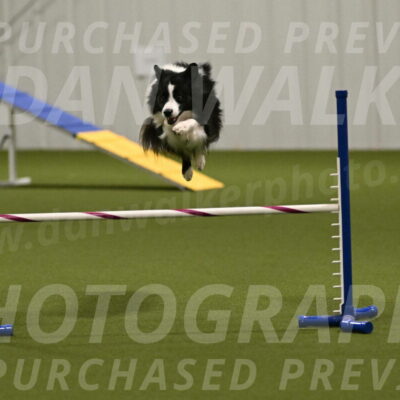 Cyrus-Kirra-Yanchilk-02336