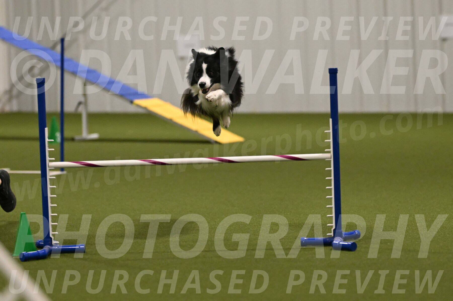 Cyrus-Kirra-Yanchilk-02336