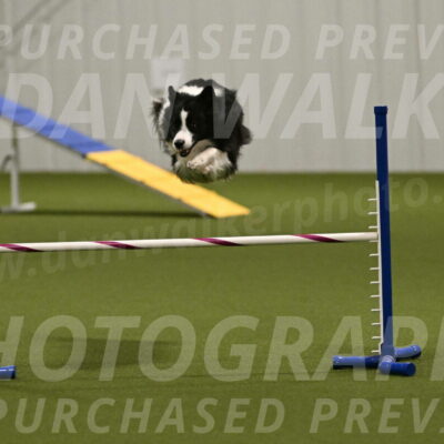 Cyrus-Kirra-Yanchilk-02337