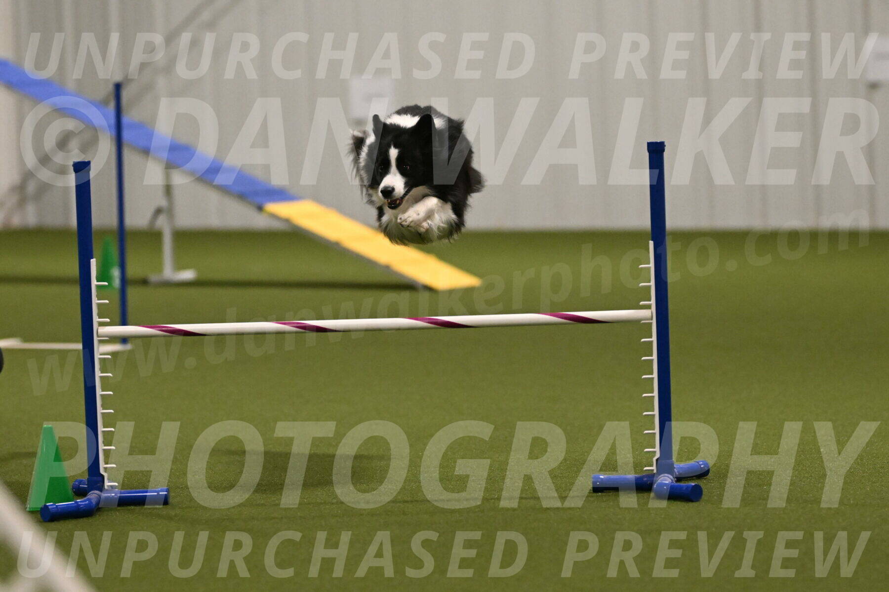 Cyrus-Kirra-Yanchilk-02337