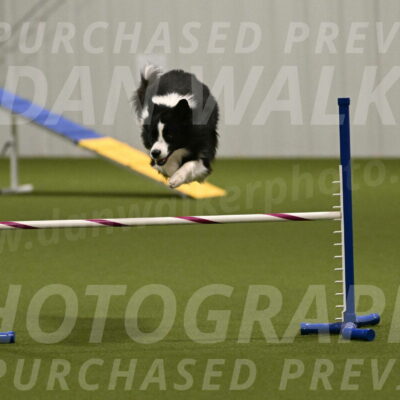 Cyrus-Kirra-Yanchilk-02338