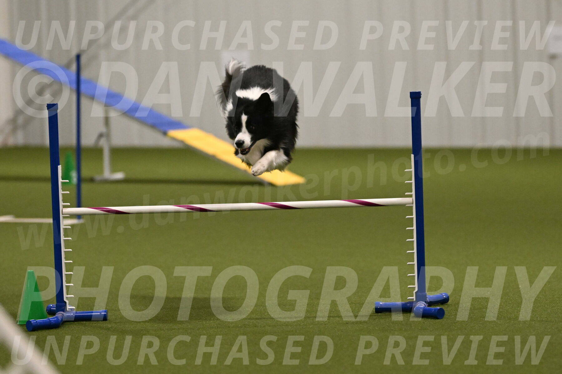 Cyrus-Kirra-Yanchilk-02338