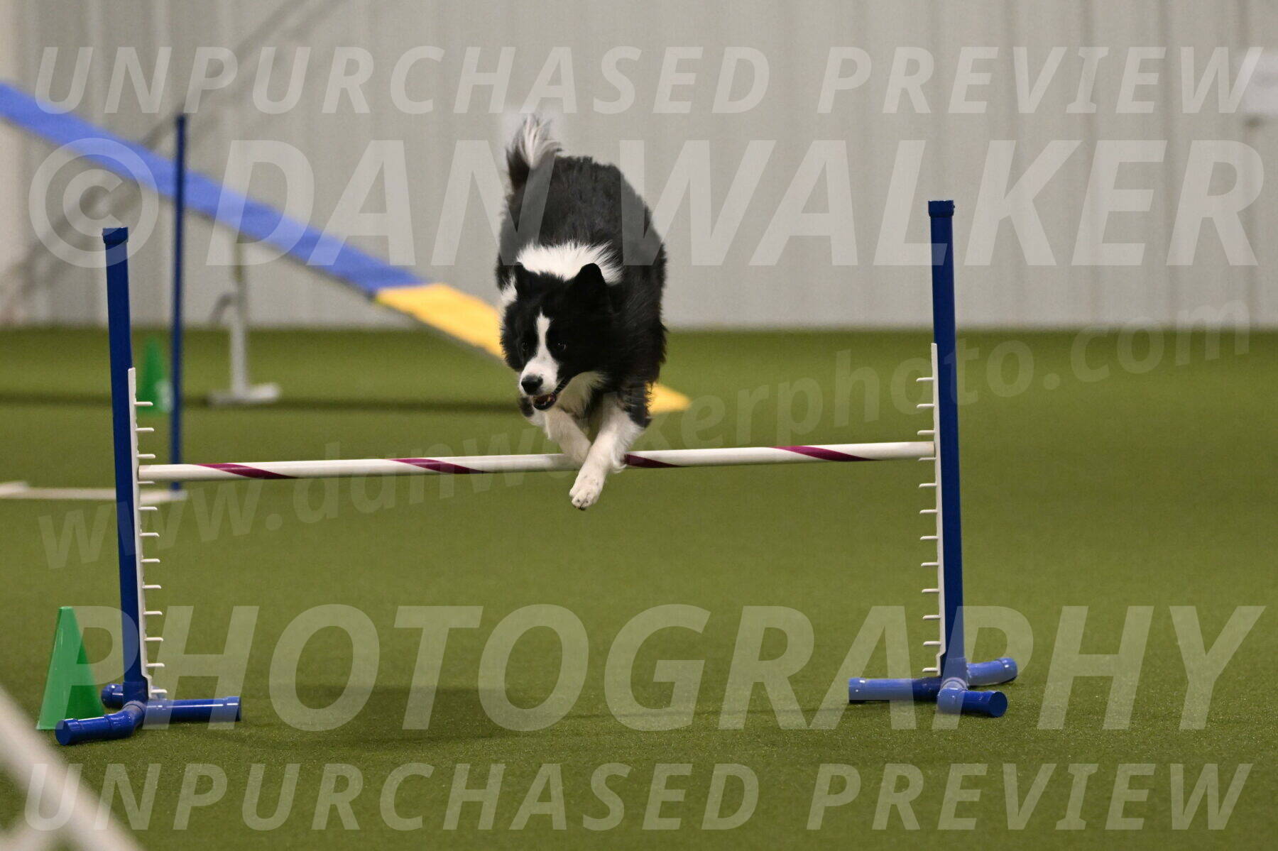 Cyrus-Kirra-Yanchilk-02339