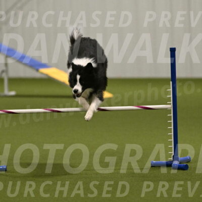 Cyrus-Kirra-Yanchilk-02339