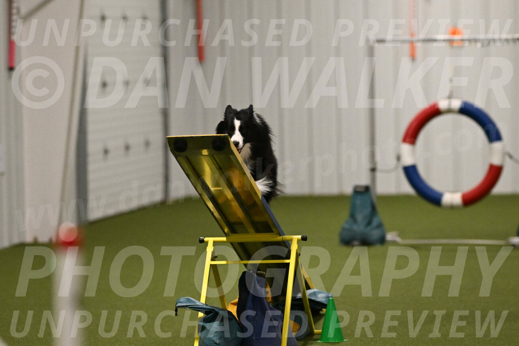 Cyrus-Kirra-Yanchilk-02340