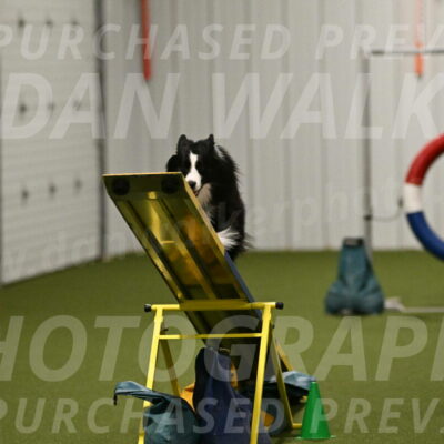 Cyrus-Kirra-Yanchilk-02340