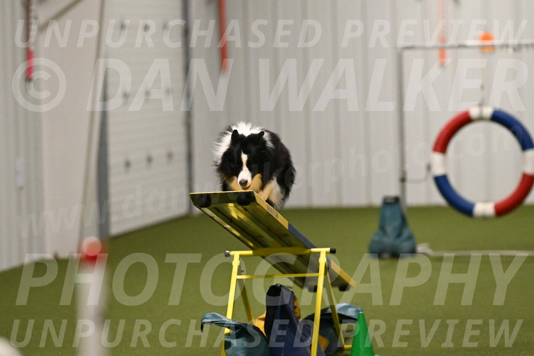 Cyrus-Kirra-Yanchilk-02341