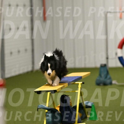 Cyrus-Kirra-Yanchilk-02342