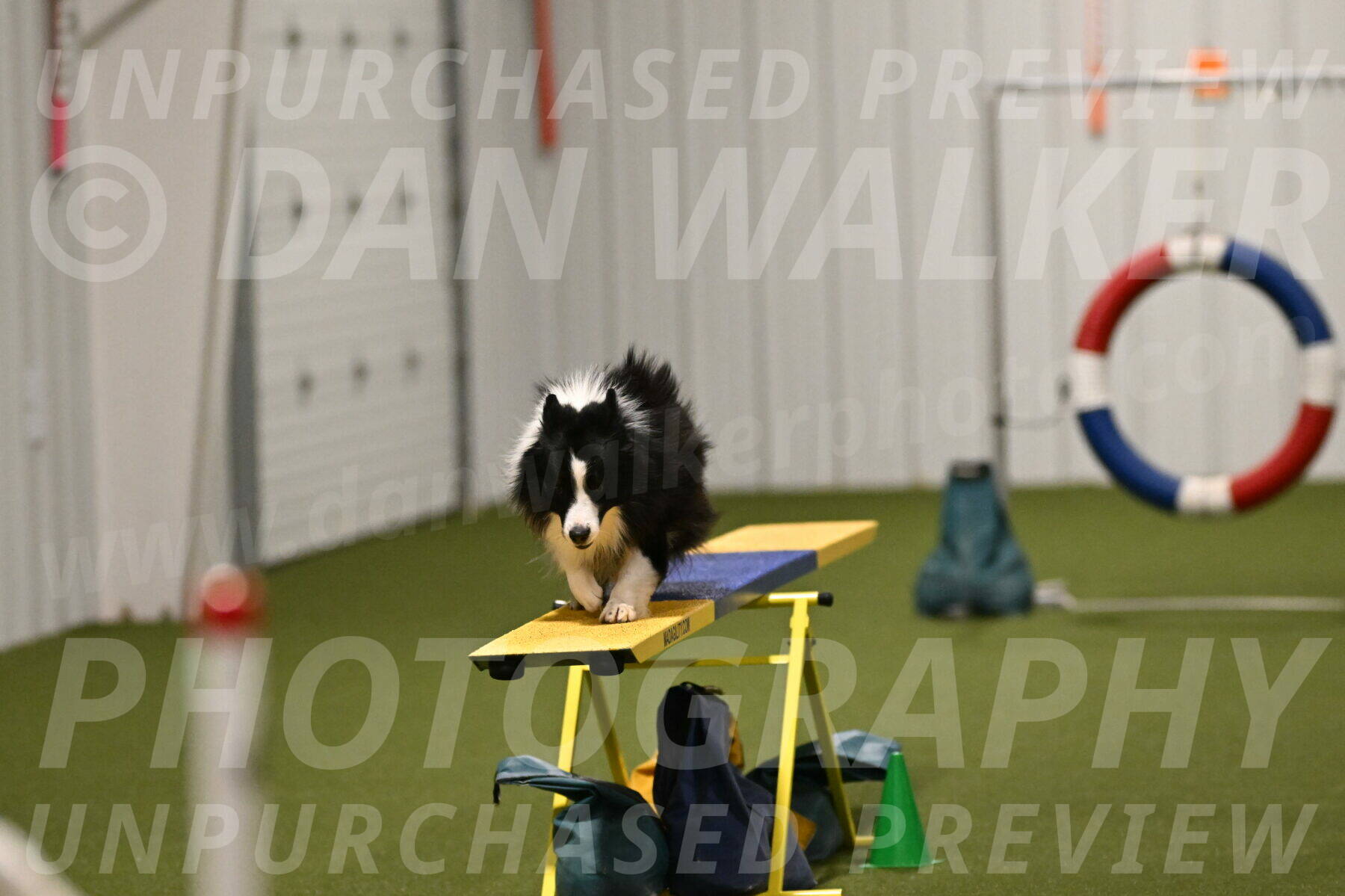 Cyrus-Kirra-Yanchilk-02342