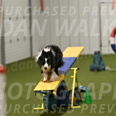 Cyrus-Kirra-Yanchilk-02343