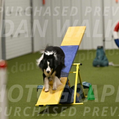 Cyrus-Kirra-Yanchilk-02344