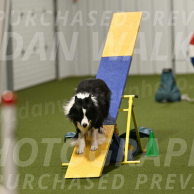 Cyrus-Kirra-Yanchilk-02345