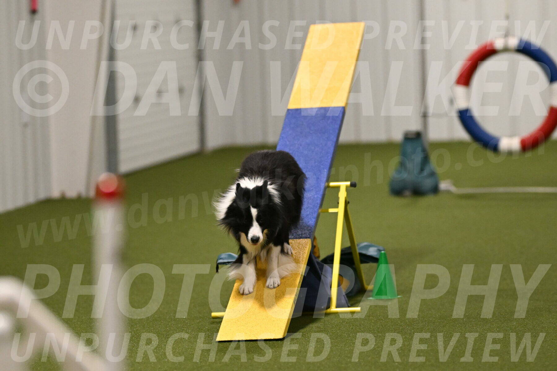 Cyrus-Kirra-Yanchilk-02345