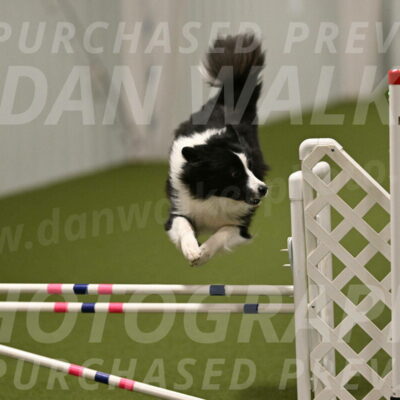 Cyrus-Kirra-Yanchilk-02346