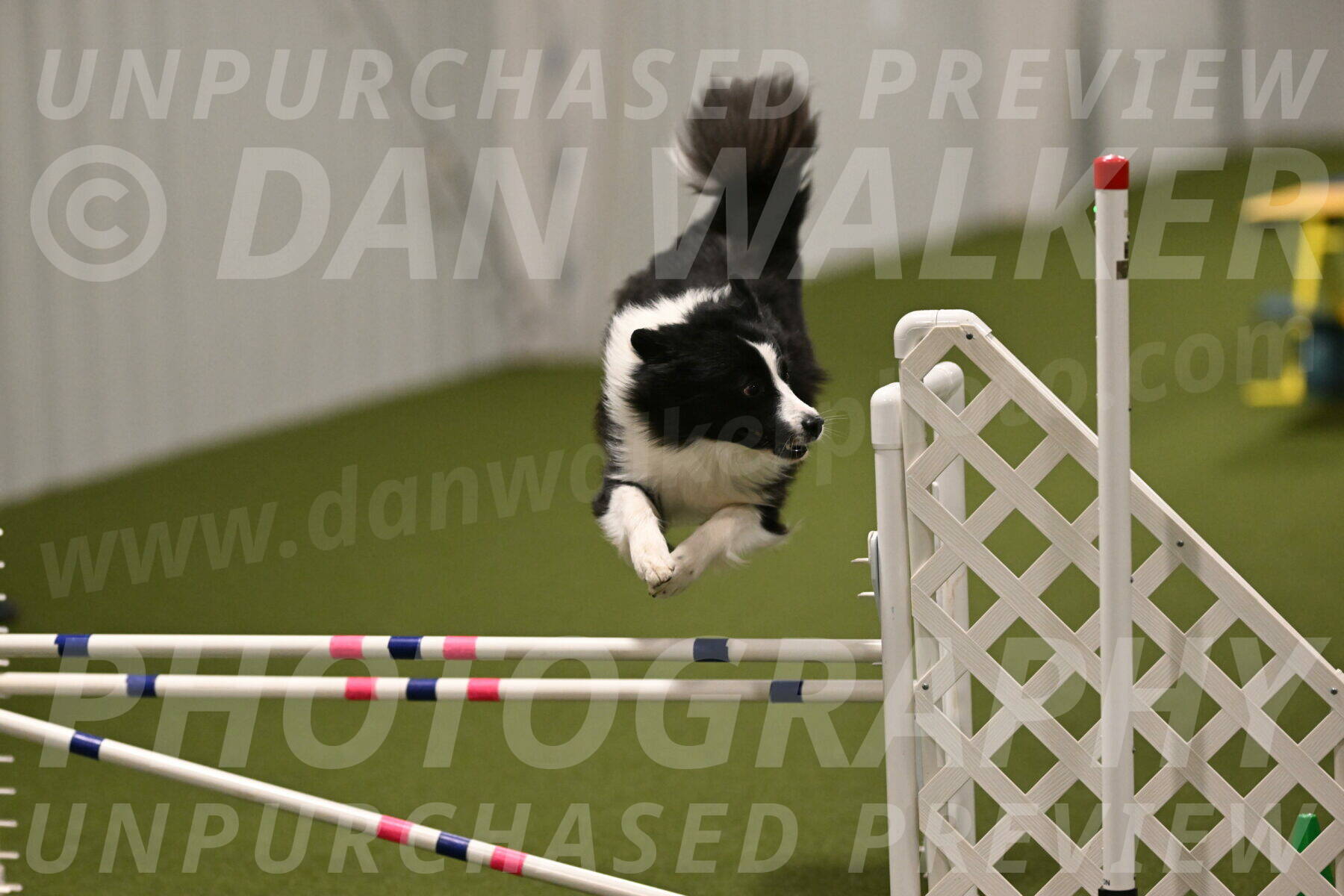 Cyrus-Kirra-Yanchilk-02346