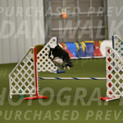 Cyrus-Kirra-Yanchilk-02351