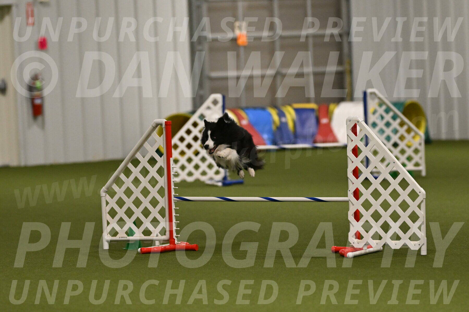 Cyrus-Kirra-Yanchilk-02351