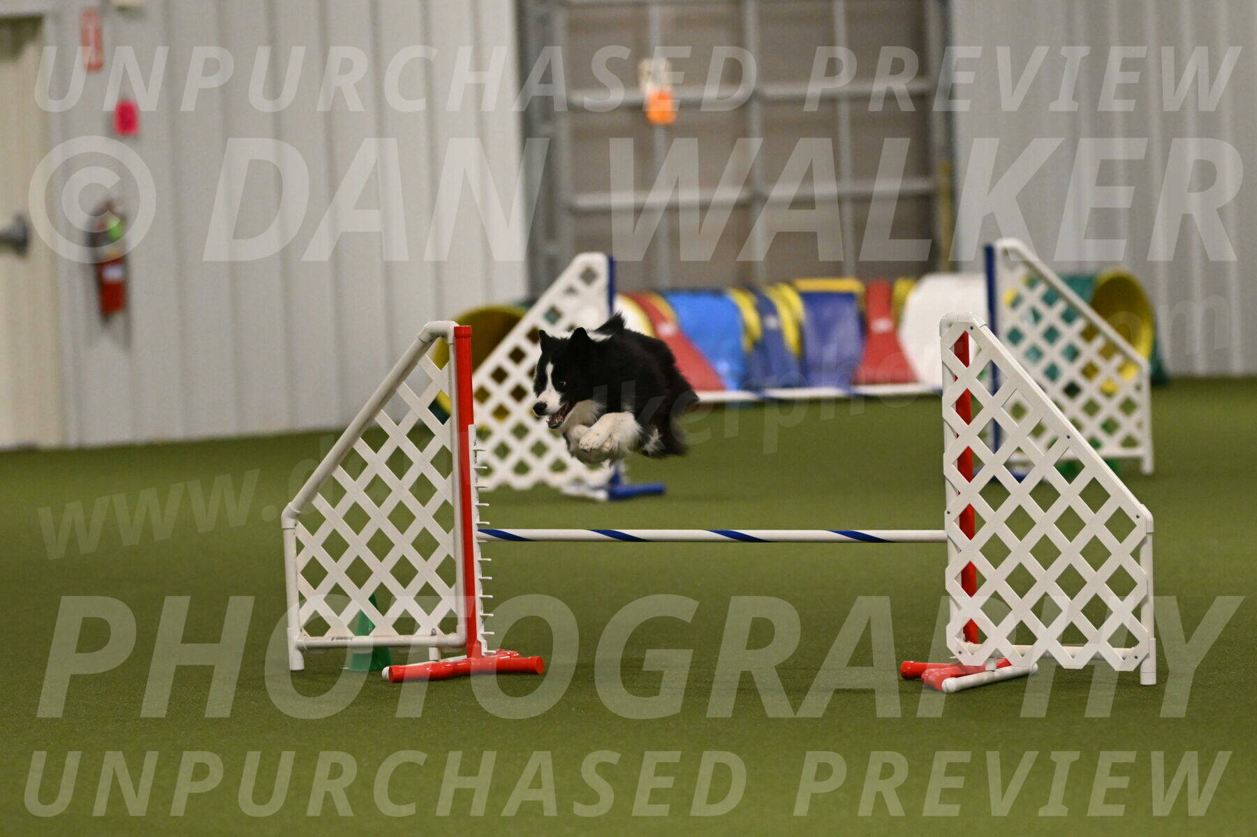 Cyrus-Kirra-Yanchilk-02352