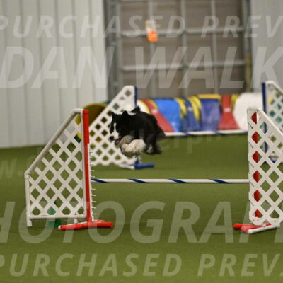 Cyrus-Kirra-Yanchilk-02352