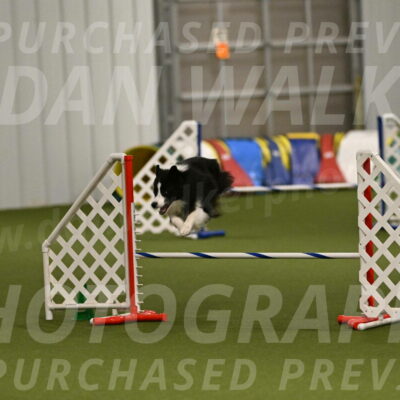 Cyrus-Kirra-Yanchilk-02353